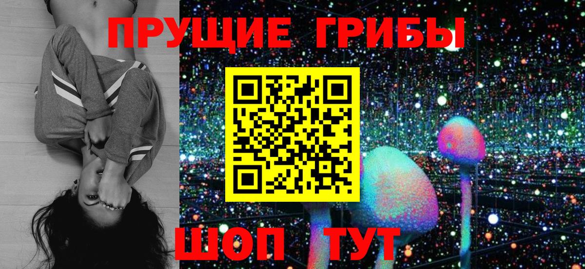 Галлюциногенные грибы Cubensis  Тверь 