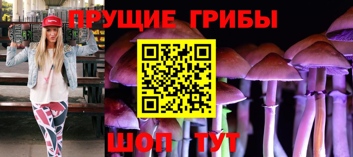 Тверь  Галлюциногенные грибы MAGIC MUSHROOMS  Вход с VPN 