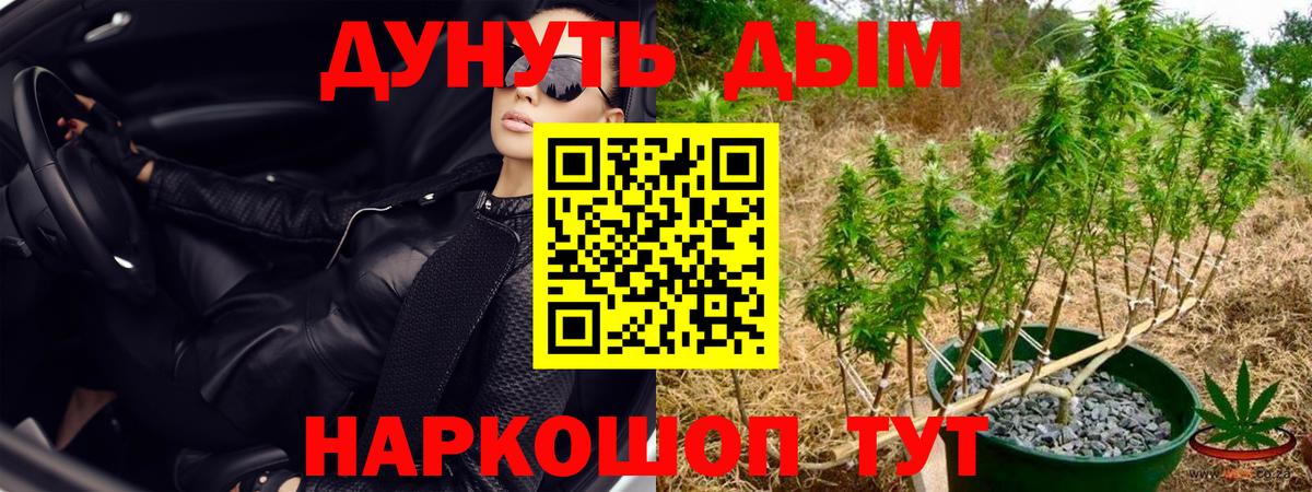 Бошки Шишки гибрид Тверь